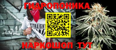 кокс Ставрополь