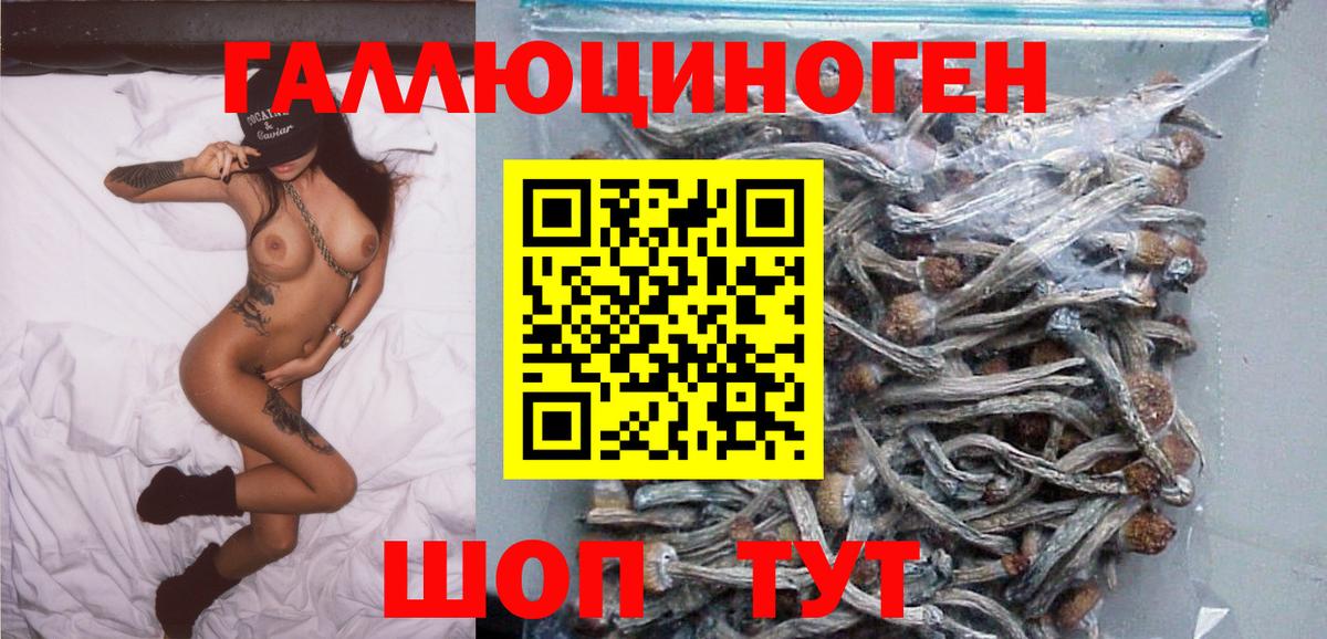 Псилоцибиновые грибы Psilocybe  Псилоцибиновые грибы Magic Shrooms  Вход с VPN  Норильск 