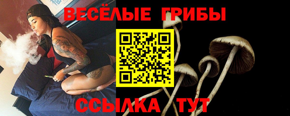 Псилоцибиновые грибы Cubensis Норильск