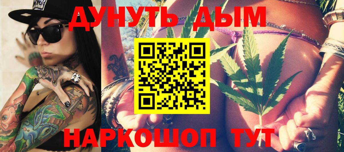 Бошки Шишки планчик Норильск